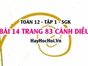 Bài 14 trang 83 Toán 12 tập 1 Cánh Diều